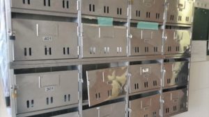 アパート購入時に外観だけで評価できるポイント